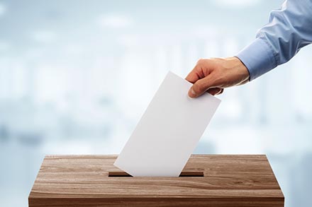 vote