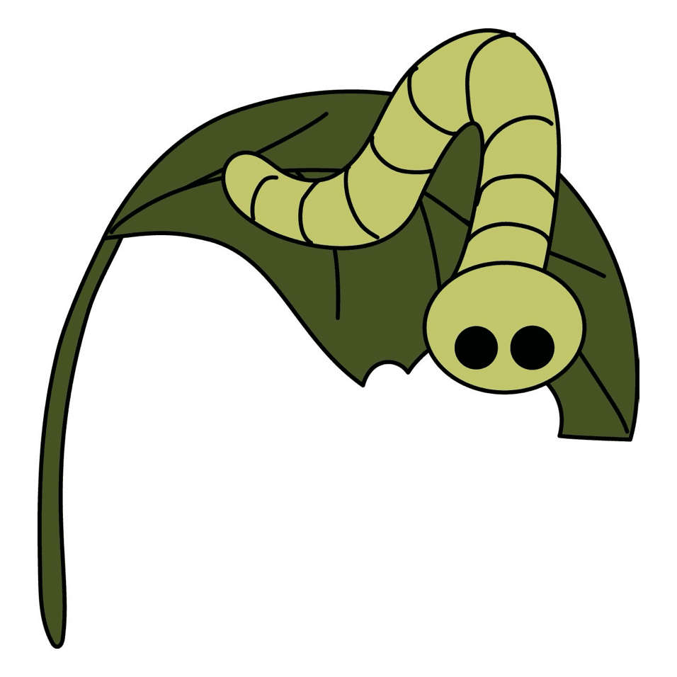 caterpillar