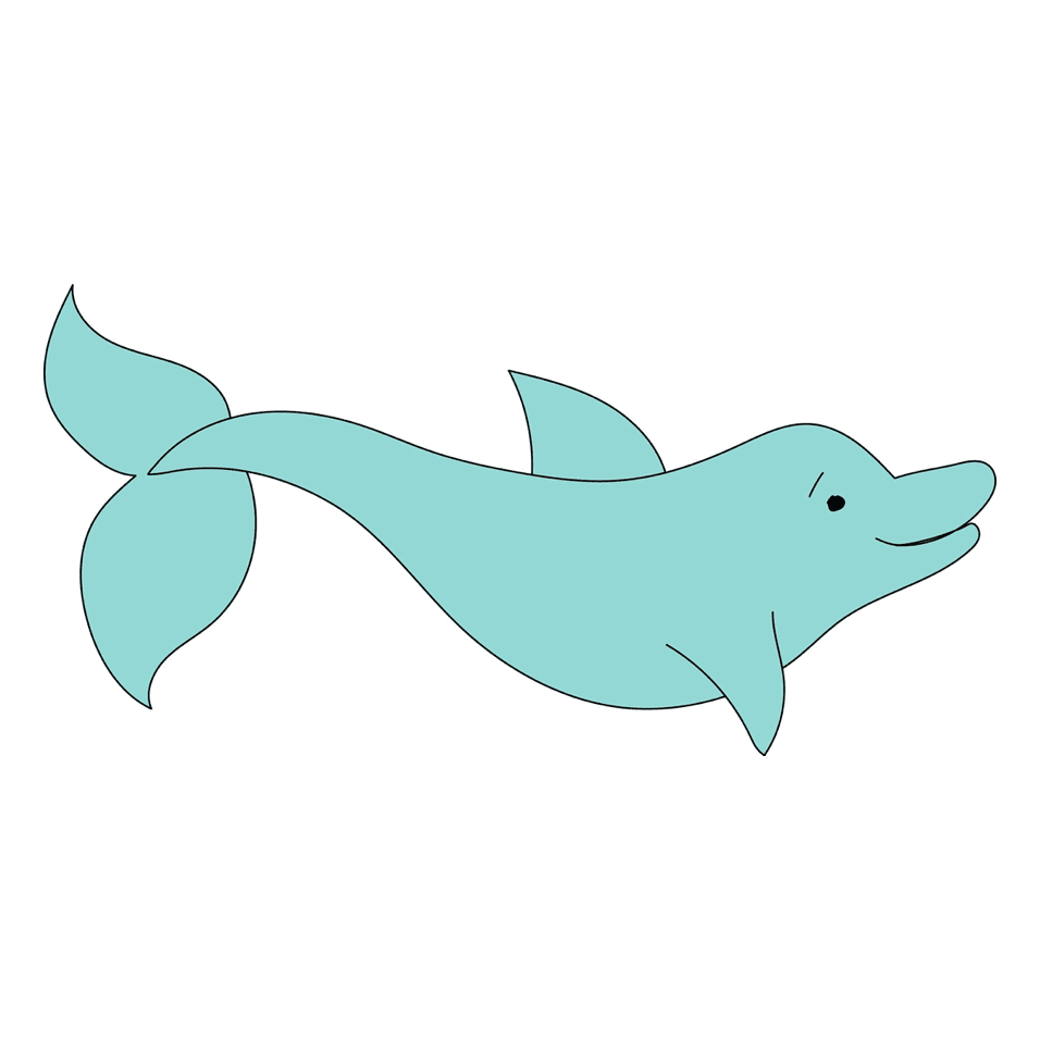 dolphin