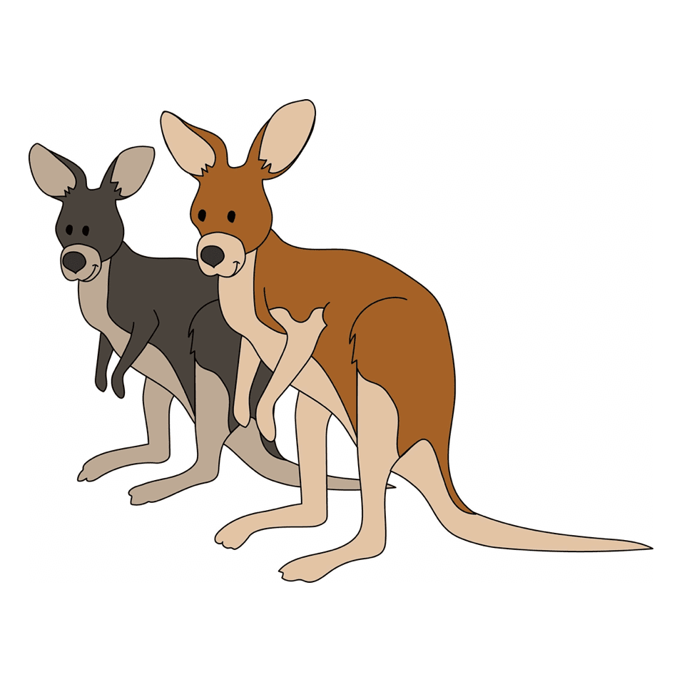 kangaroos