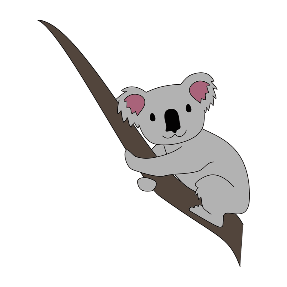 koala