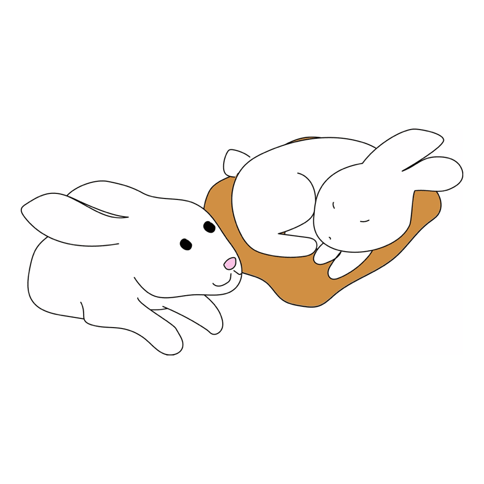 rabbits