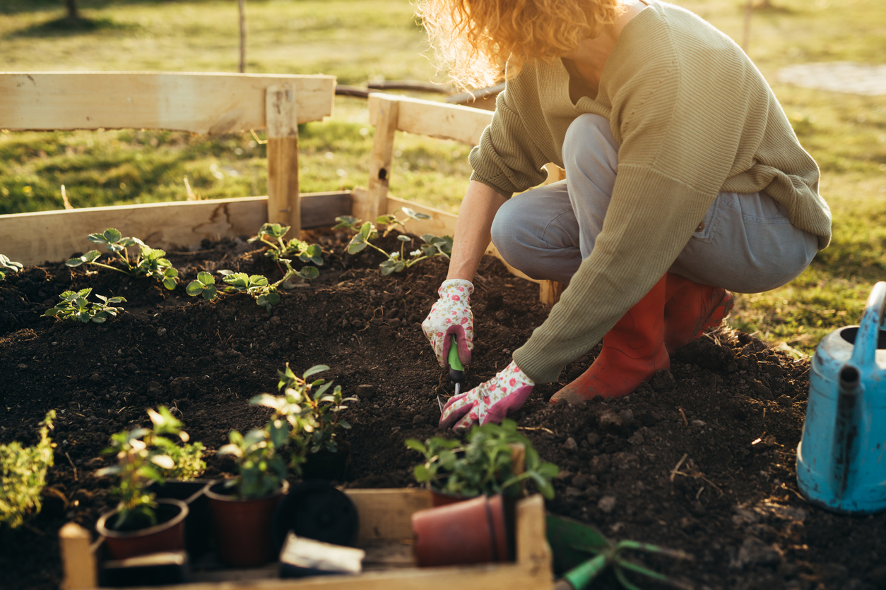 gardener