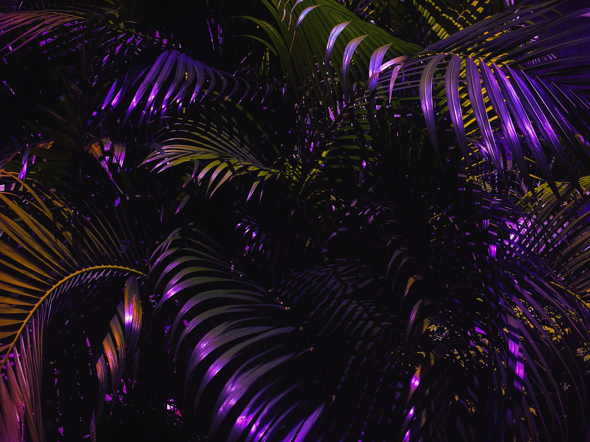 glow
