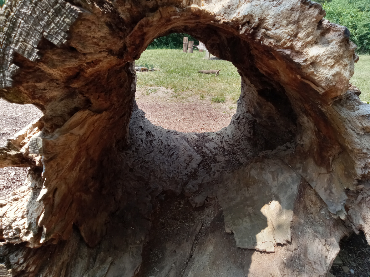 hollow